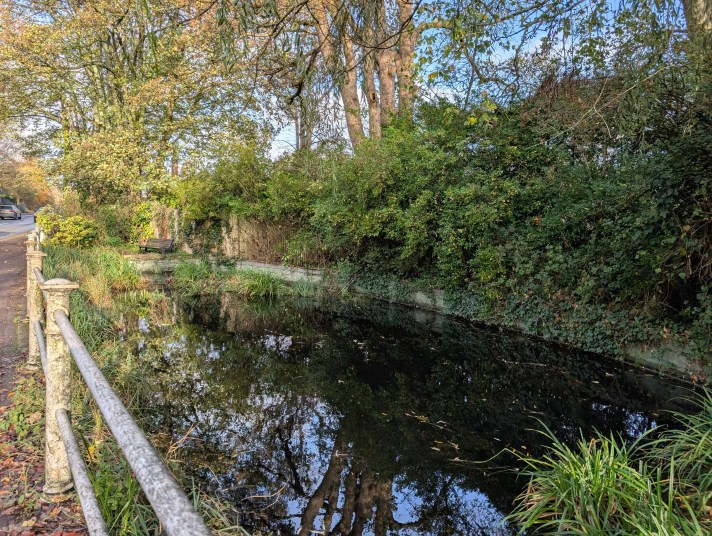 Weeke Pond restoration project
